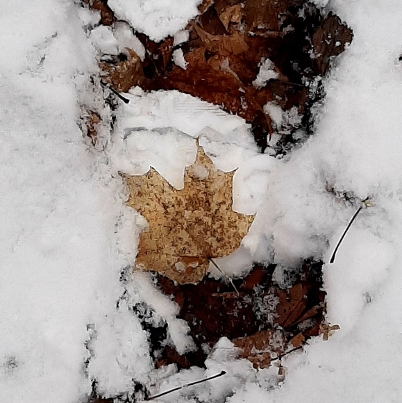 Meet your Posher, Tina - Picture 1 of 1